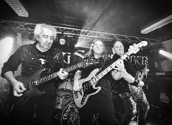 Dog Stone Tired - Eddy - Michel - Thorsten