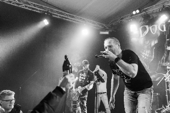 Dog Stone Tired - Rich