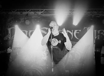 Dog Stone Tired - Tina Rich